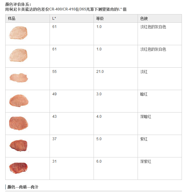 生肉色差评价方案